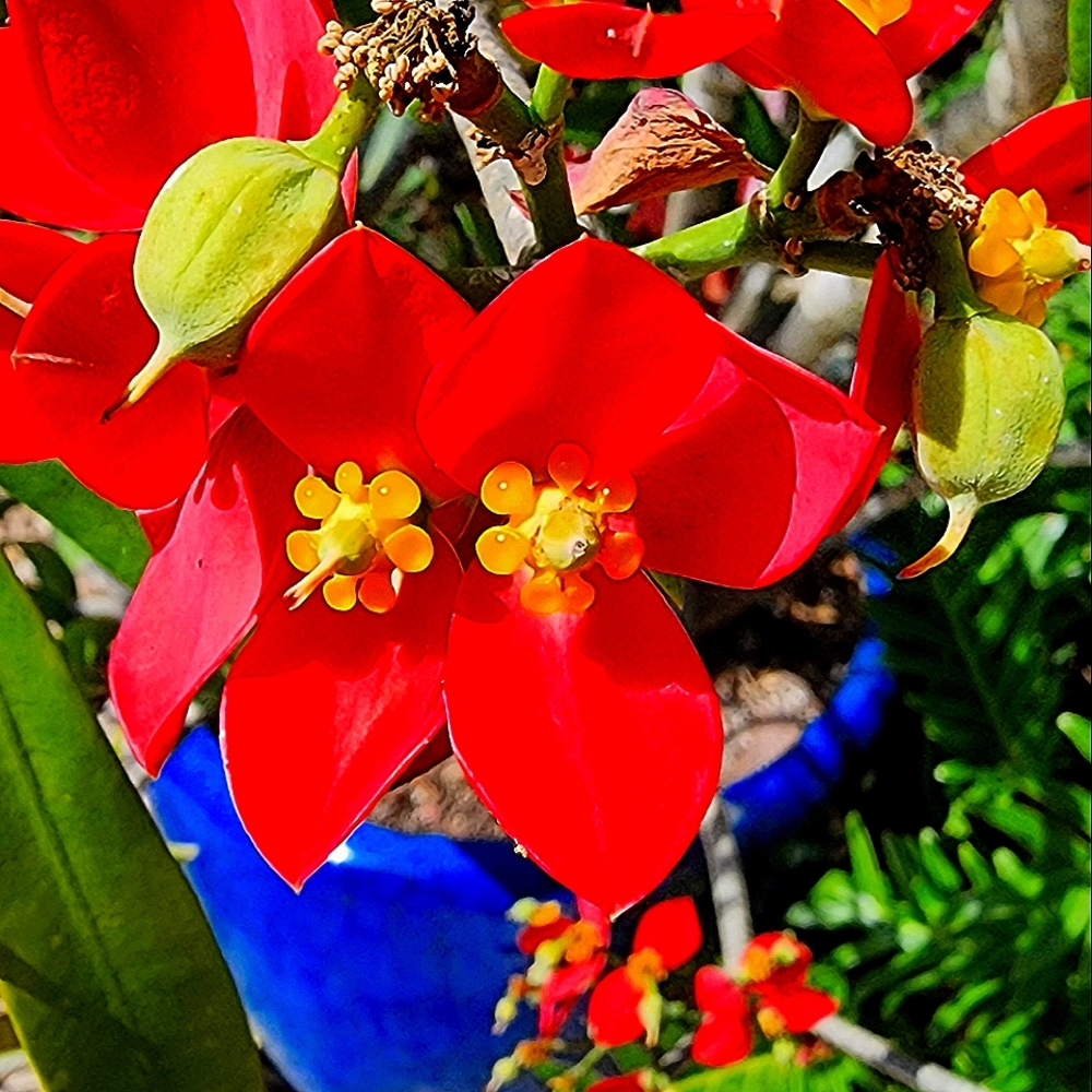 Meet your Posher, Posh